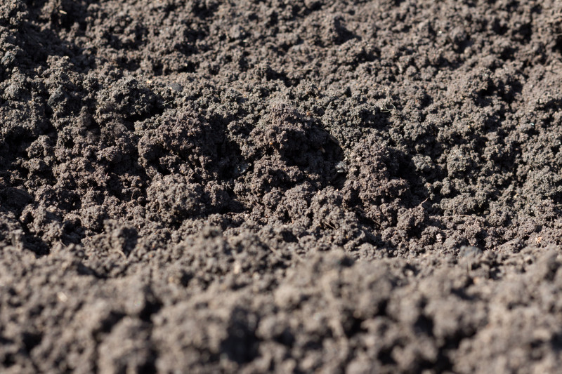 Screened Topsoil in White River