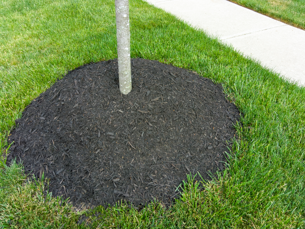 Black Mulch in Kincardine