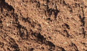 Cedar Mulch in Kingsville