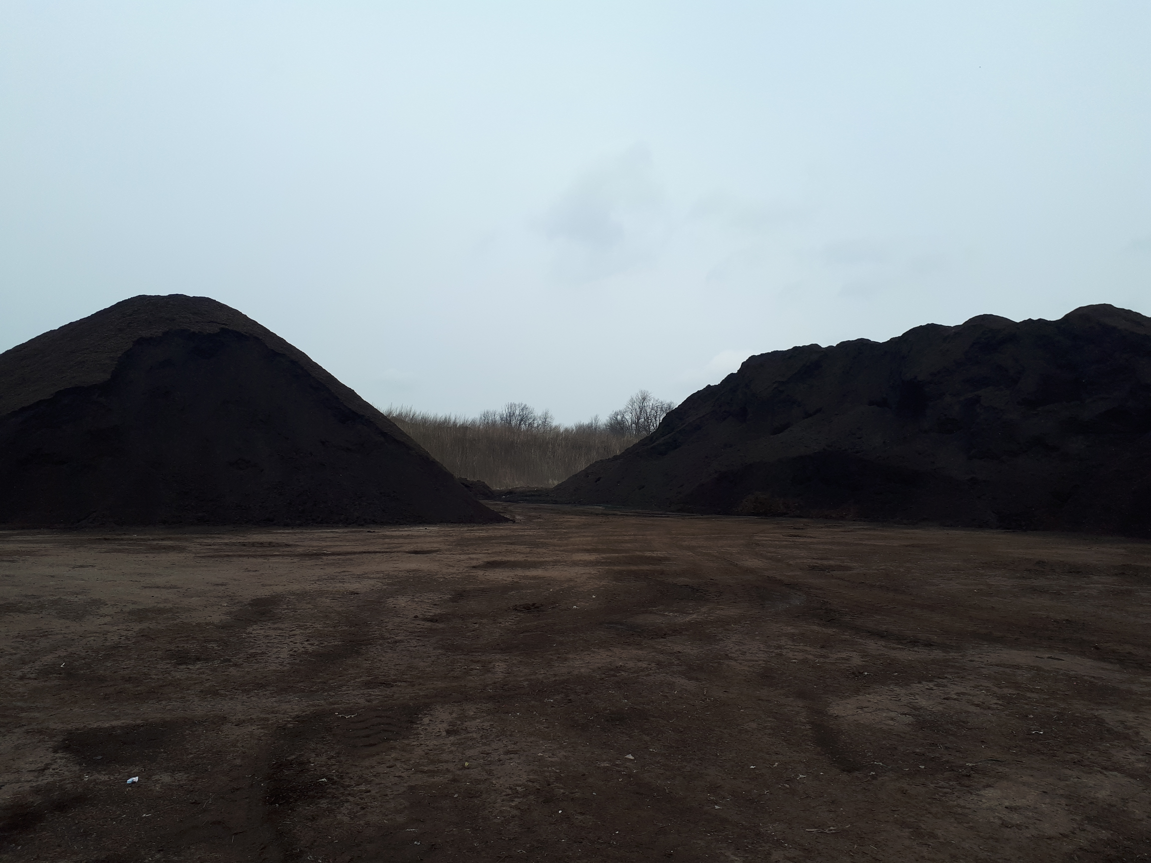Premium Compost in Peterborough